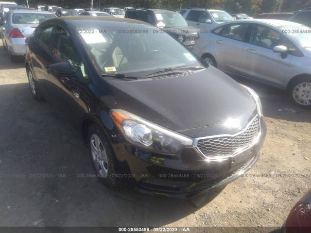 KIA FORTE 2015 knafk4a62f5423444