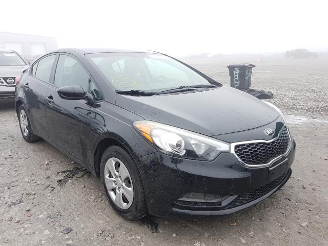 KIA FORTE 2015 knafk4a62f5434864