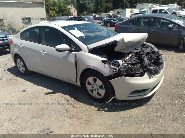 KIA FORTE 2014 knafk4a63e5058979