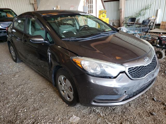 KIA FORTE LX 2014 knafk4a63e5062899