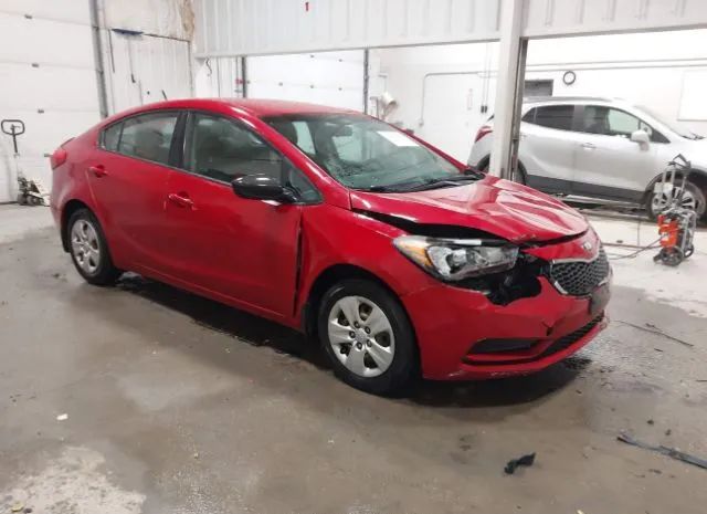 KIA FORTE 2014 knafk4a63e5075071