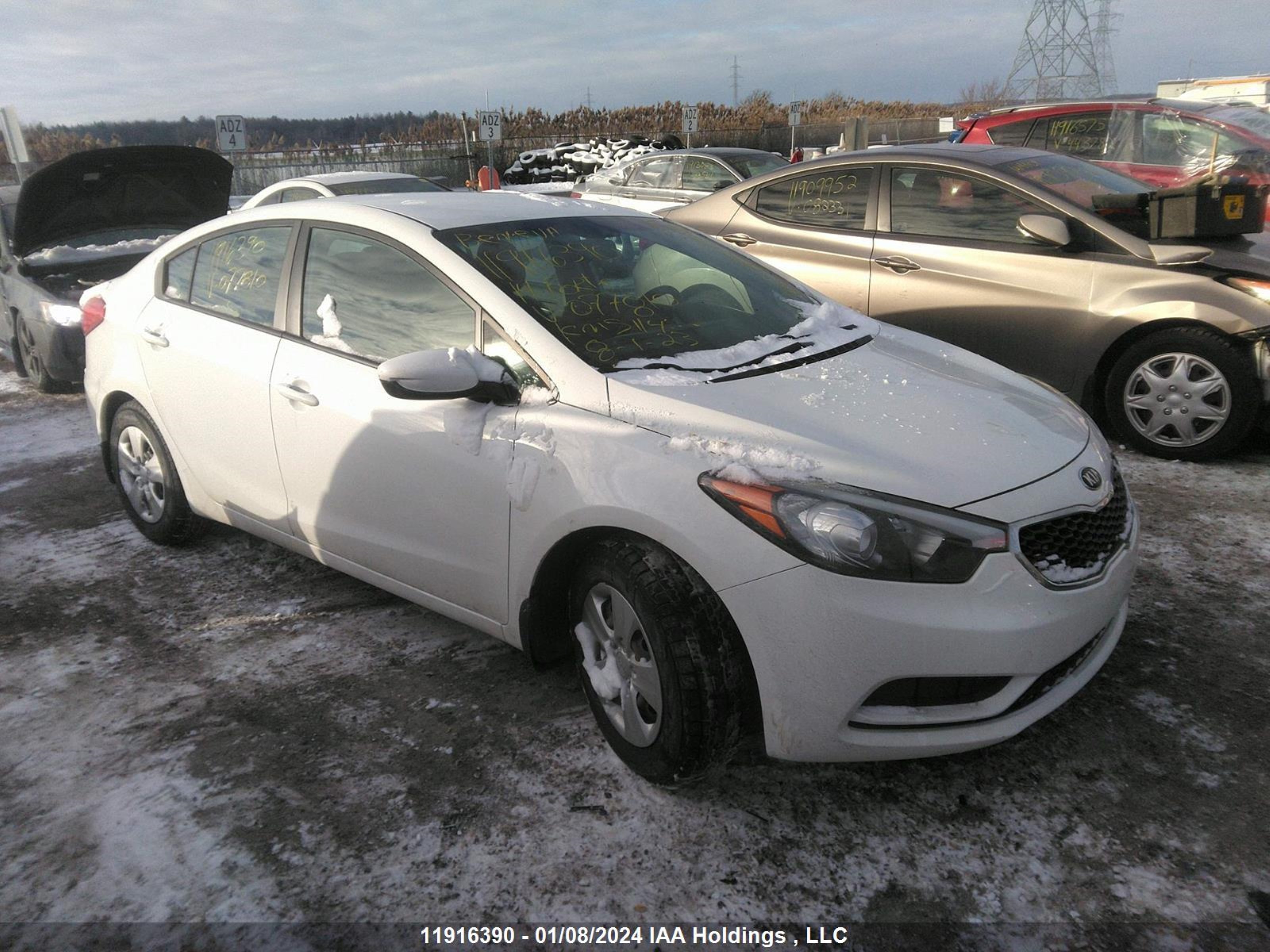 KIA FORTE 2014 knafk4a63e5077810