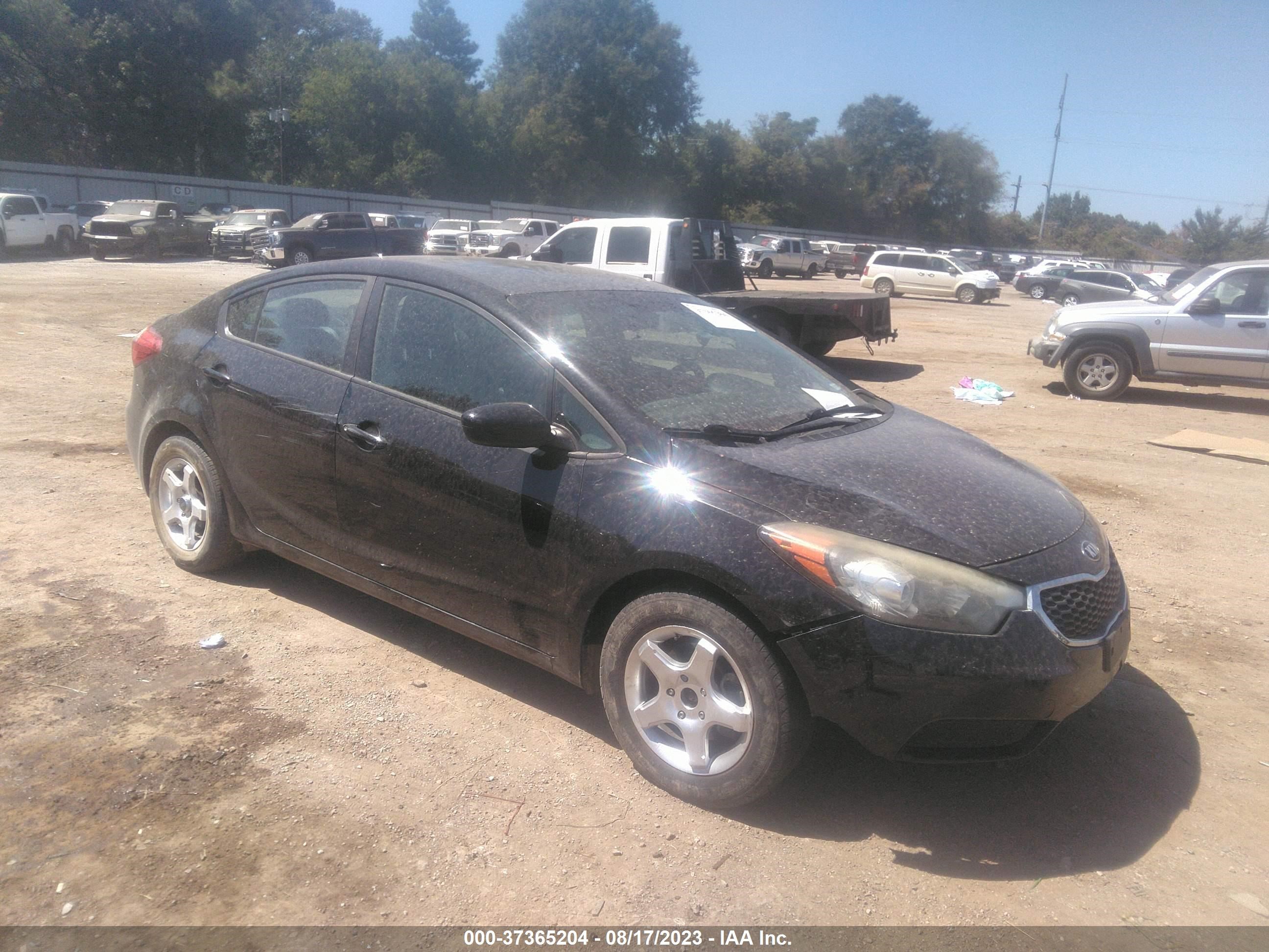 KIA FORTE 2014 knafk4a63e5146172