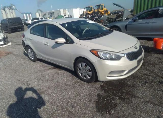 KIA FORTE 2015 knafk4a63f5339066