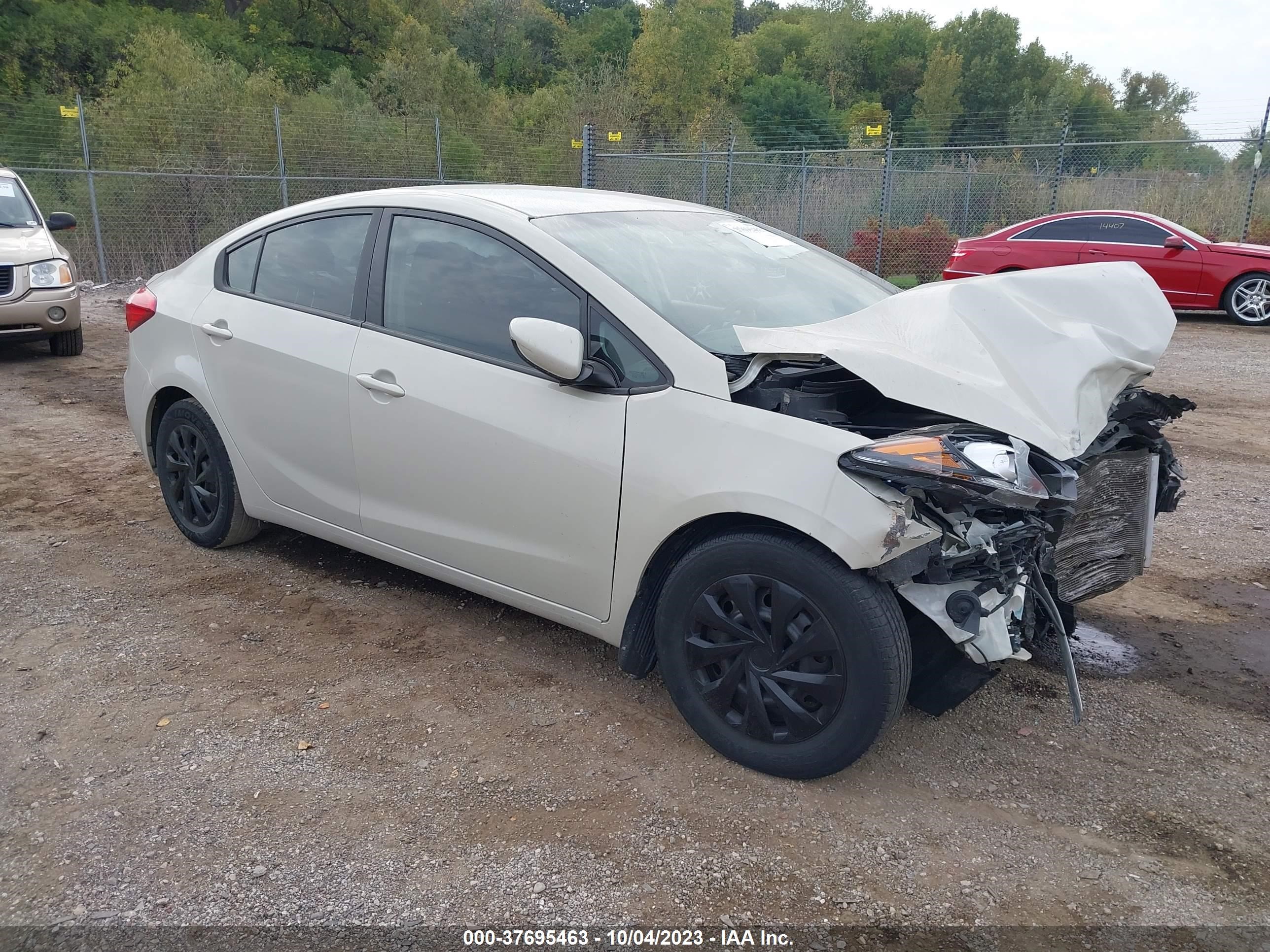 KIA FORTE 2015 knafk4a63f5409438