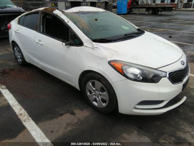 KIA FORTE 2016 knafk4a63g5509962