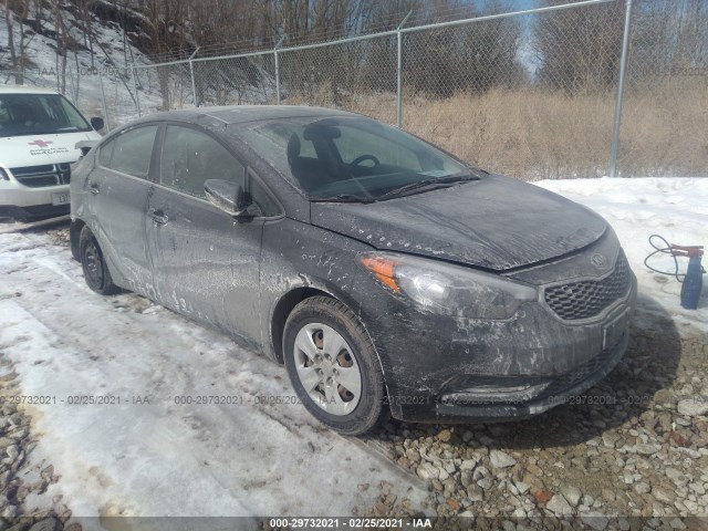 KIA FORTE 2016 knafk4a63g5517186