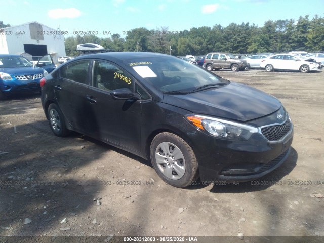 KIA FORTE 2015 knafk4a63g5537356