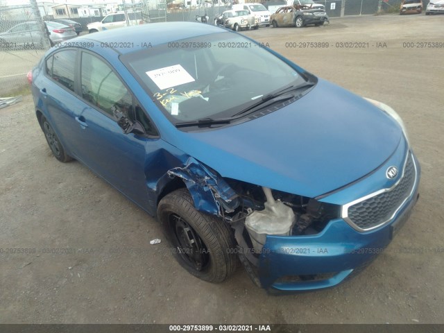 KIA FORTE 2014 knafk4a64e5075905