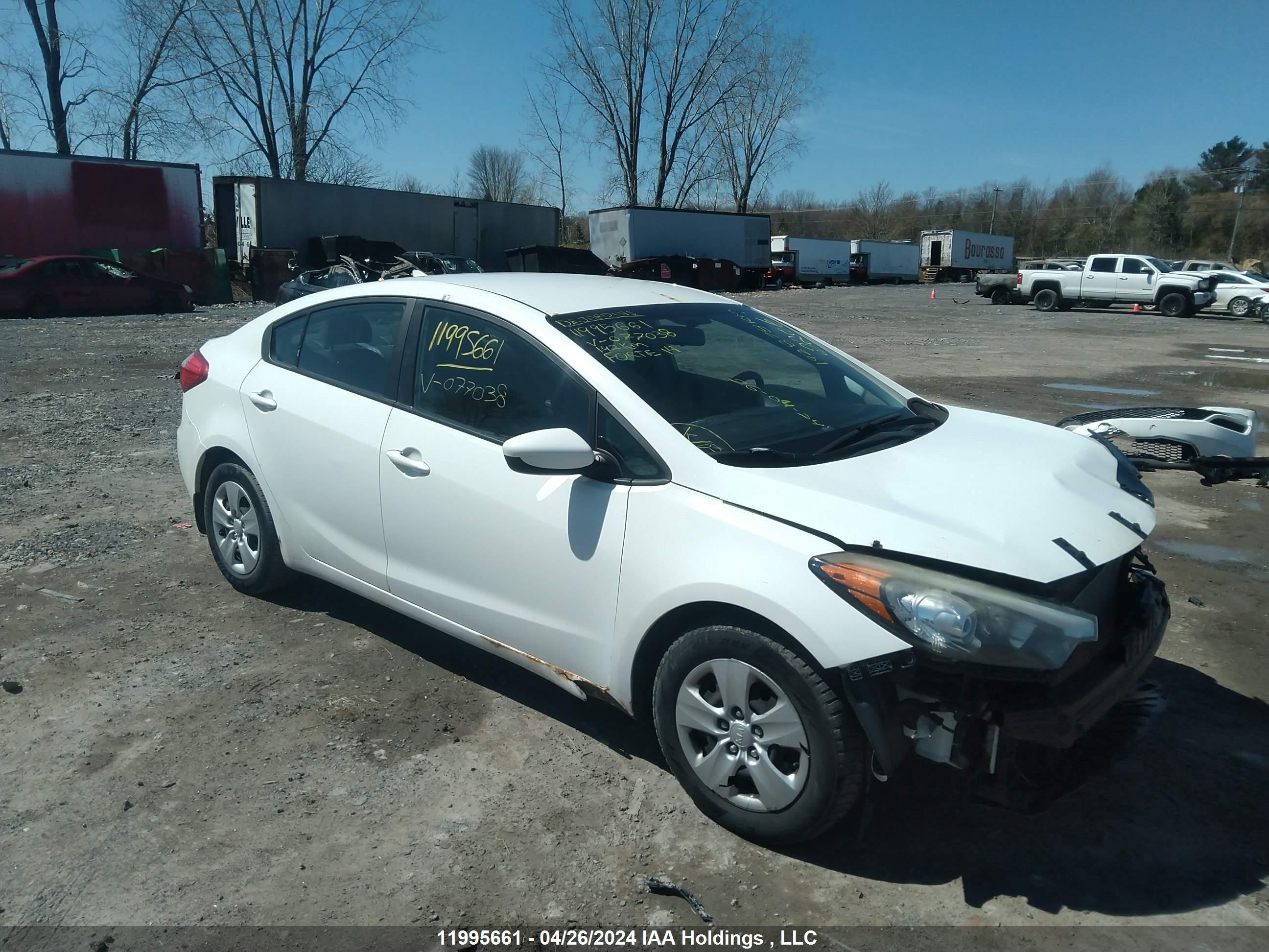 KIA FORTE 2014 knafk4a64e5077038