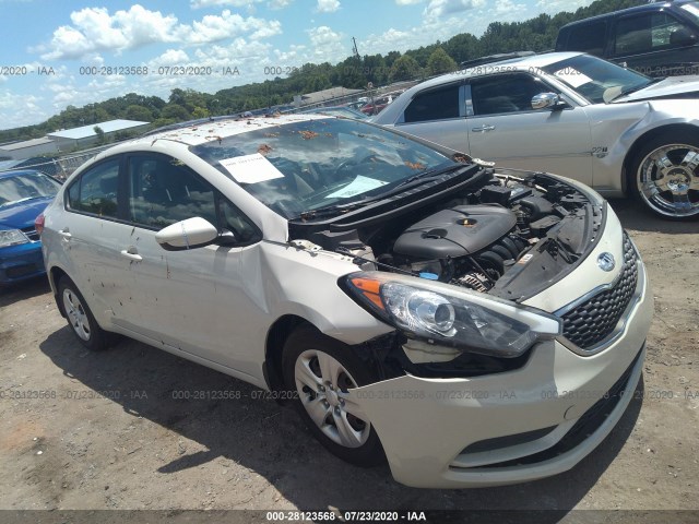 KIA FORTE 2014 knafk4a64e5088346