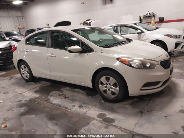 KIA FORTE 2014 knafk4a64e5137593