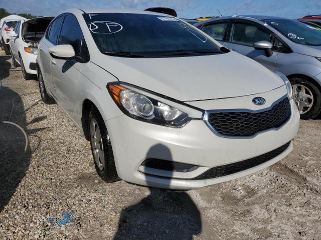 KIA FORTE LX 2014 knafk4a64e5145855