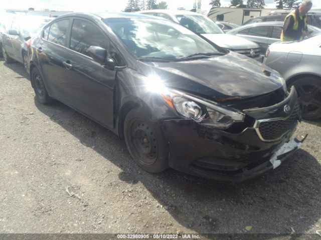 KIA FORTE 2014 knafk4a64e5146858