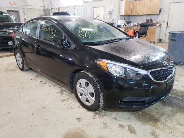 KIA FORTE 2014 knafk4a64e5178872