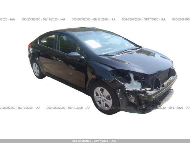 KIA FORTE 2014 knafk4a64e5181187