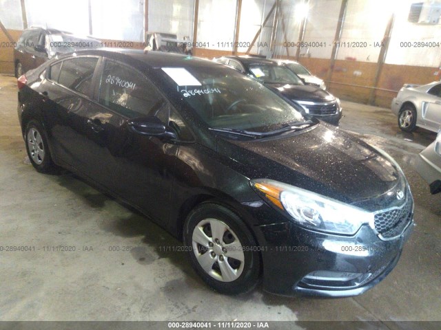 KIA FORTE 2014 knafk4a64e5191976