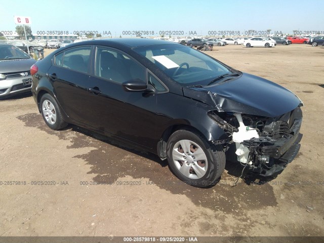 KIA FORTE 2014 knafk4a64e5211160