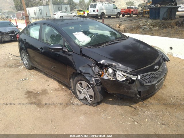 KIA FORTE 2014 knafk4a64e5249522