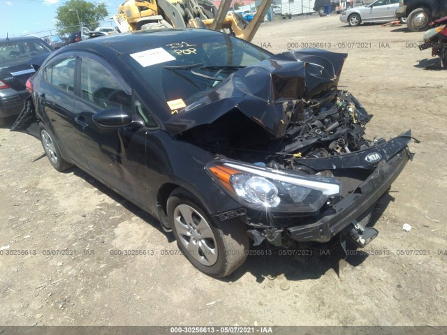 KIA FORTE 2015 knafk4a64f5269500