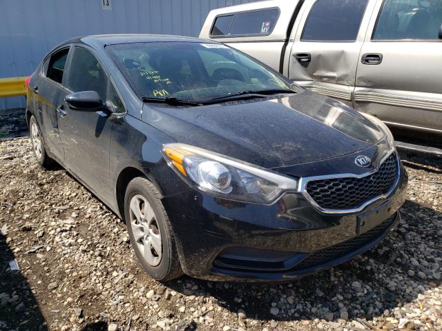 KIA FORTE LX 2015 knafk4a64f5286555