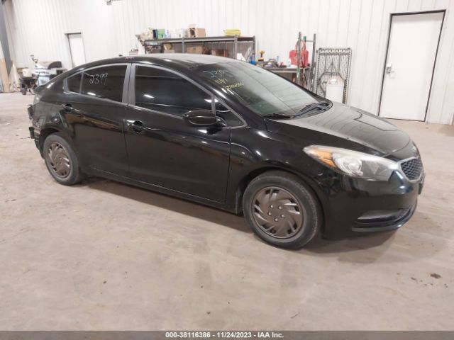 KIA FORTE 2015 knafk4a64f5292419