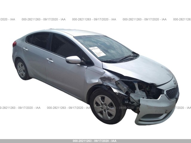 KIA FORTE 2015 knafk4a64f5381472