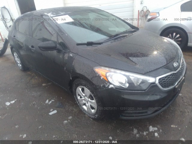 KIA FORTE 2015 knafk4a64f5387658