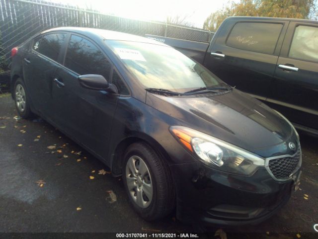 KIA FORTE 2015 knafk4a64f5416690