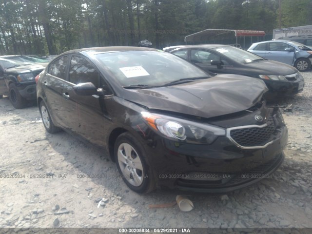 KIA FORTE 2015 knafk4a64f5435434