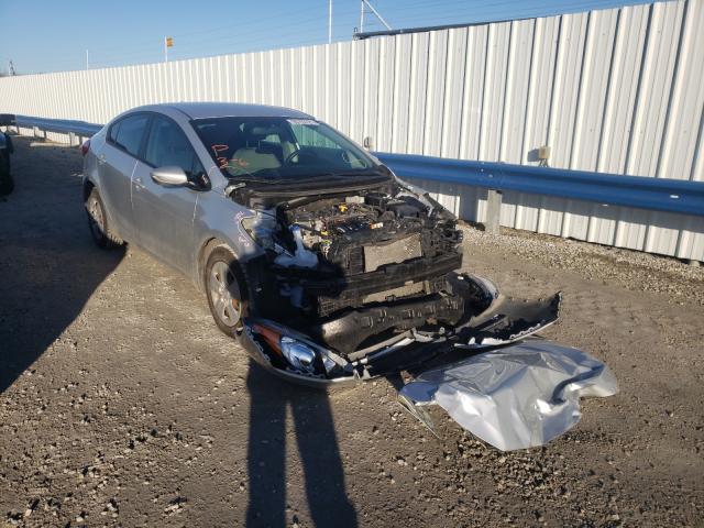 KIA FORTE LX 2015 knafk4a64f5436289