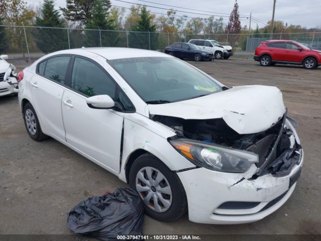 KIA FORTE 2014 knafk4a65e5055288