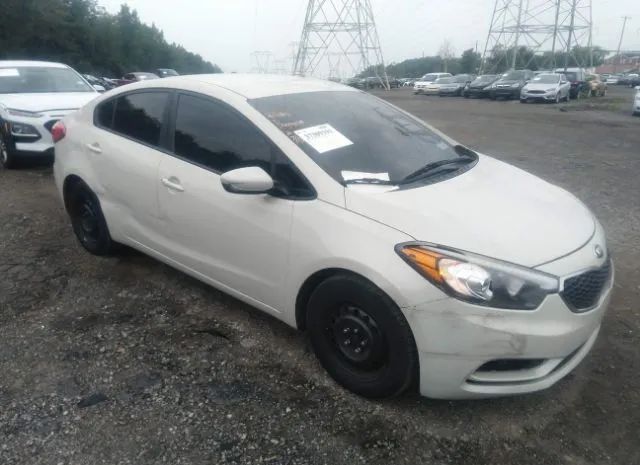 KIA FORTE 2014 knafk4a65e5066162