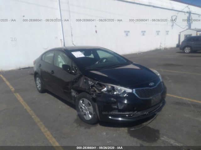 KIA FORTE 2014 knafk4a65e5075427