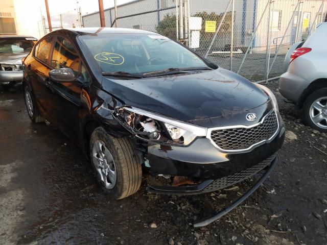 KIA FORTE LX 2014 knafk4a65e5131348