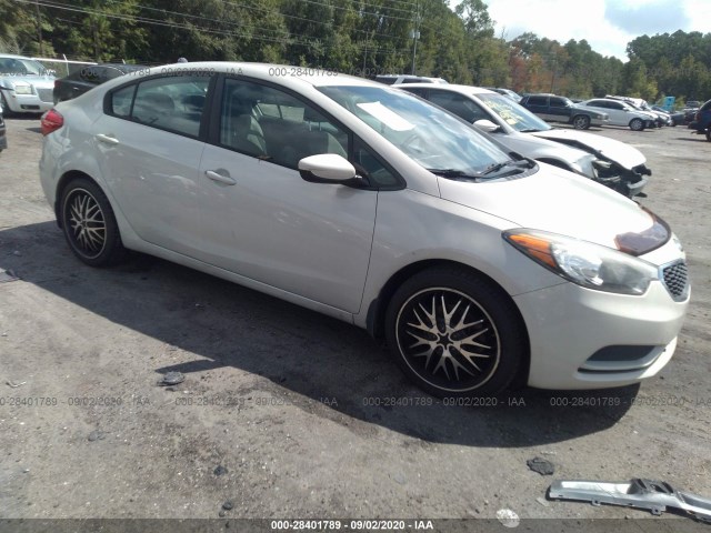 KIA FORTE 2014 knafk4a65e5145881