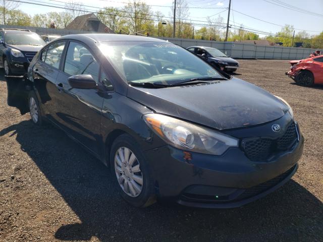 KIA FORTE LX 2014 knafk4a65e5149218