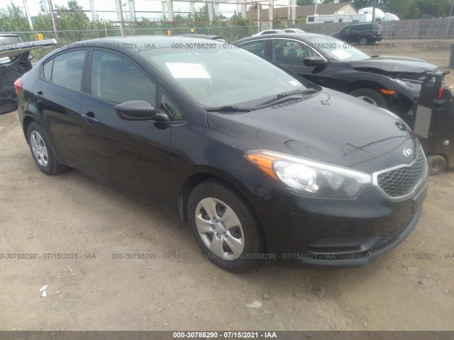 KIA FORTE 2014 knafk4a65e5181859