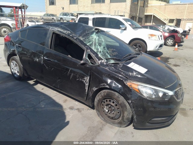 KIA FORTE 2014 knafk4a65e5190254