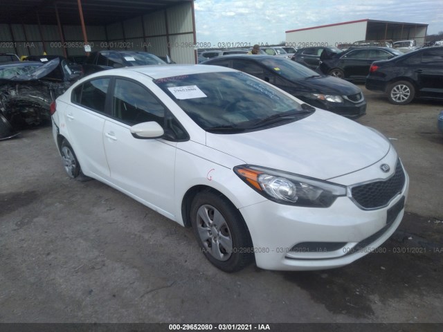 KIA FORTE 2014 knafk4a66e5067692