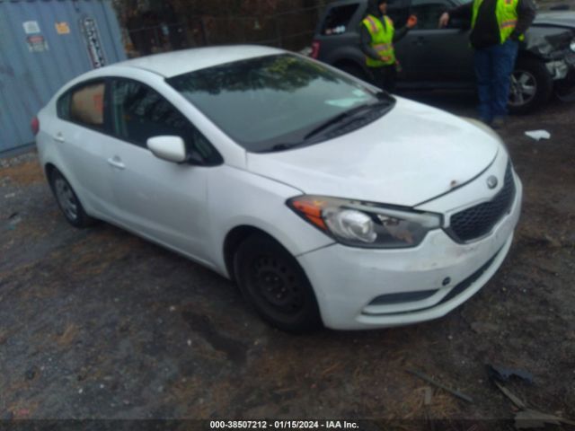 KIA FORTE 2014 knafk4a66e5072228