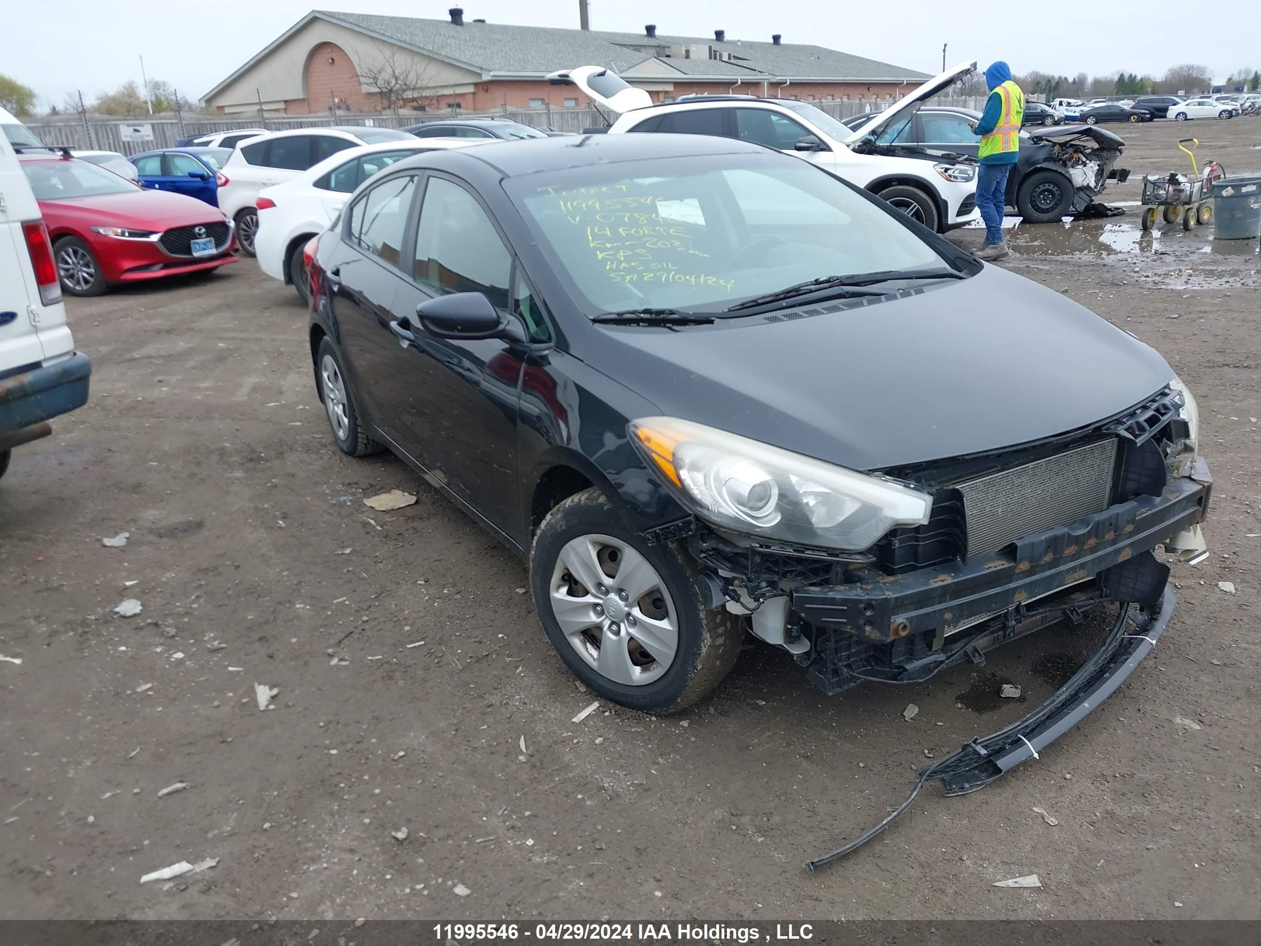 KIA FORTE 2014 knafk4a66e5078465