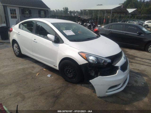 KIA FORTE 2014 knafk4a66e5086565