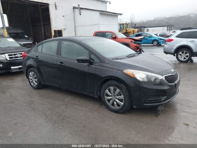 KIA FORTE 2014 knafk4a66e5105289