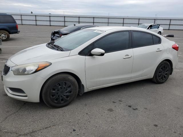 KIA FORTE 2014 knafk4a66e5112663