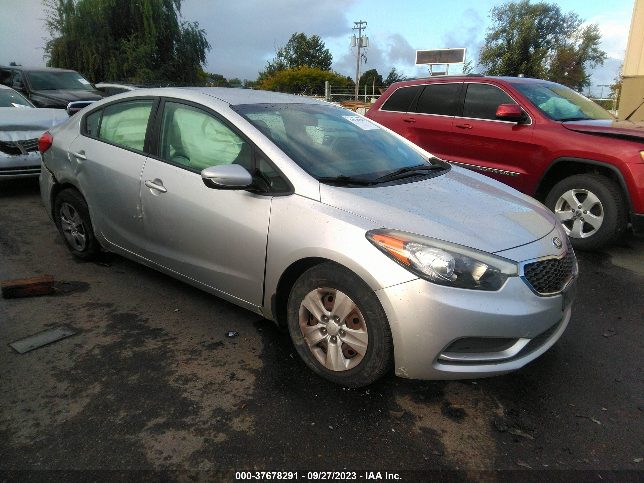 KIA FORTE 2014 knafk4a66e5131455