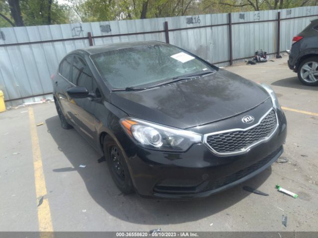 KIA FORTE 2014 knafk4a66e5163662