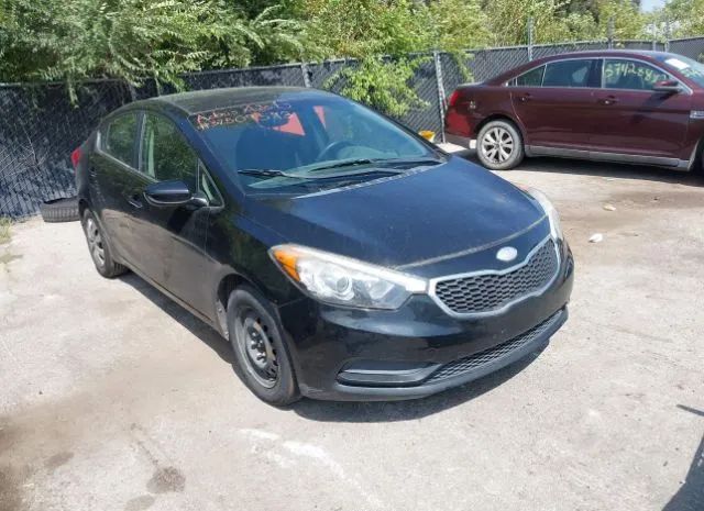 KIA FORTE 2014 knafk4a66e5167548