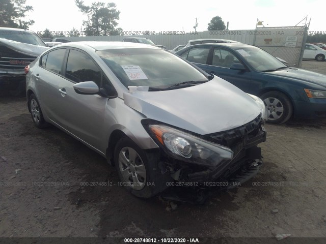 KIA FORTE 2014 knafk4a66e5175164