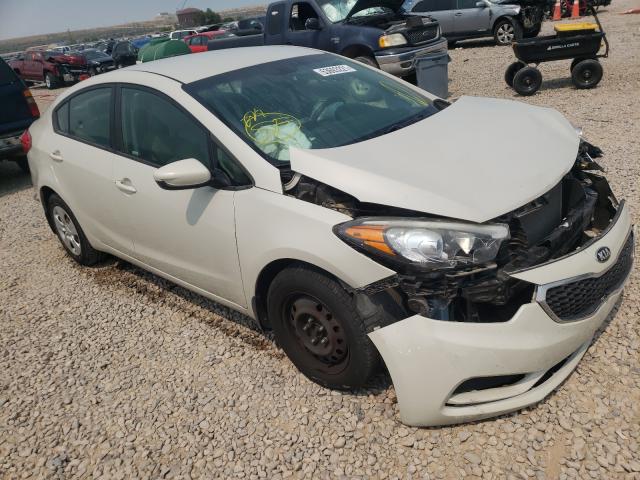 KIA FORTE LX 2014 knafk4a66e5182390